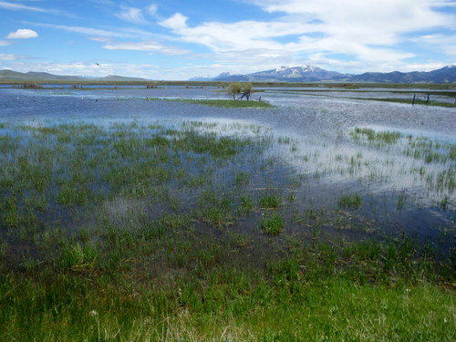 GDMBR: Montana was having the most rain ever recorded.